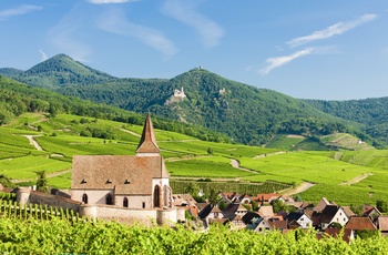 Byen Hunawihr omgivet af vinmarker - Alsace