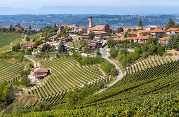Treiso omgivet af vinmarker - Piemonte