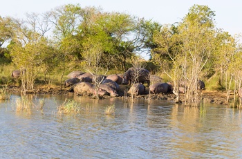 Isimangaliso Wetland Park i Sydafrika