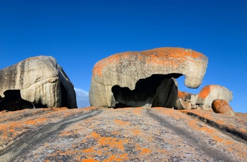 Flinders Chase National Park på Kangaroo Island - South Australia
