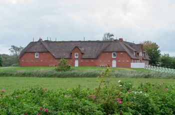 Typisk gård ved Seebüll