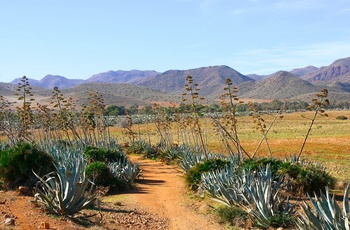 Cabo de Gata - beskyttet naturområde i det østlige Andalusien - ørkenlandskab