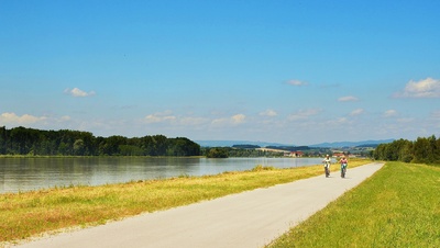 På cykel langs donau floden nær Wallsee i Østrig