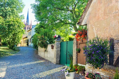 Hyggelig gade i Potsdam, Brandenburg i Tyskland