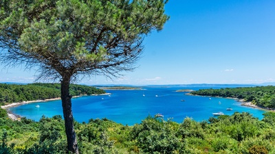 Én af de mange bugter i Kamenjak naturpark, Istrien i Kroatien