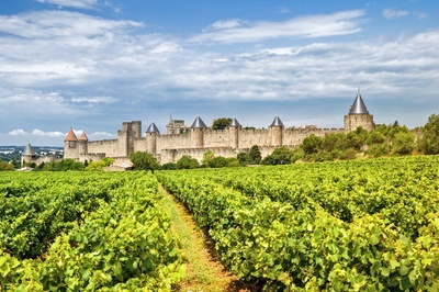 Vinmarker udenfor fæstningsbyen Carcassonne, Languedoc-Roussillon