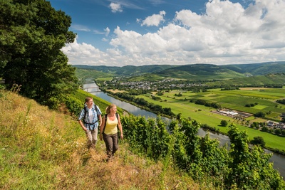 Eurohike Moselsteig-Wein-Wanderer-2.jpg