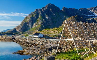 Stativ med klipfisk, Henningsvær  i Lofoten, Norge