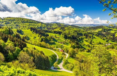 Smukke Schwarzwald i Sydtyskland