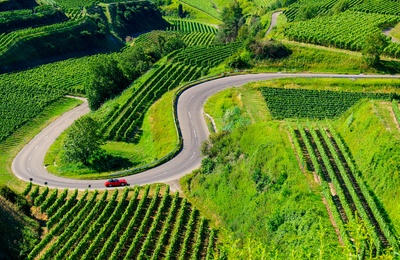 Badische Weinstrasse ved Kaiserstuhl, Schwarzwald i det sydlige Tyskland
