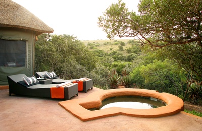 Amakhala Safari Lodge