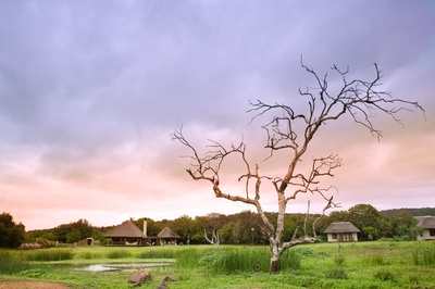 Phinda Zuka Lodge