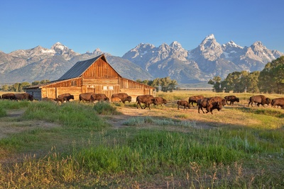 Grand Teton National Park, Wyoming