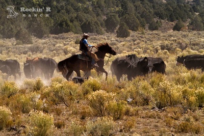 USA Utah Rockin R Ranch