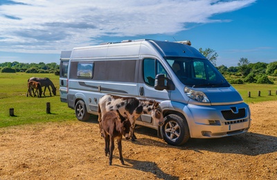 Tag på autocamperferie i Sydengland, fx her i New Forest National Park Hampshire
