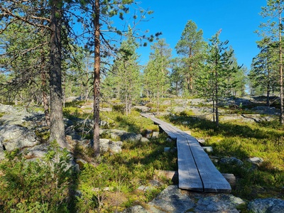 Lapland - desiree-krennrich-vzWYfNGpUfc-unsplash