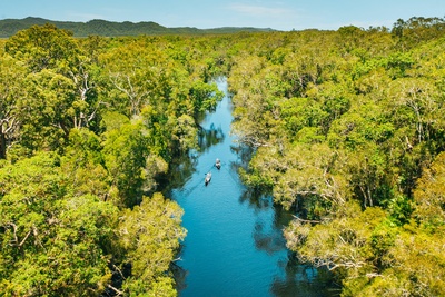 Noosa Everglades Eco Cruise