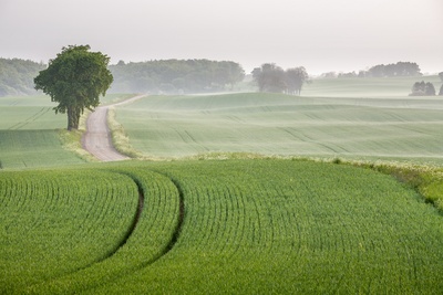farmland © Anders Tukler.jpg 