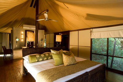Ngala Tented Camp - Sydafrika
