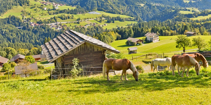 bypass raid Konflikt Rejser til Kitzbüheler Alpen | FDM travel