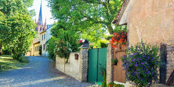 Hyggelig gade i Potsdam, Brandenburg i Tyskland