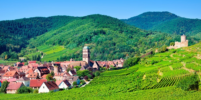 Vinbyen Kaysersberg i Alsace, Frankrig