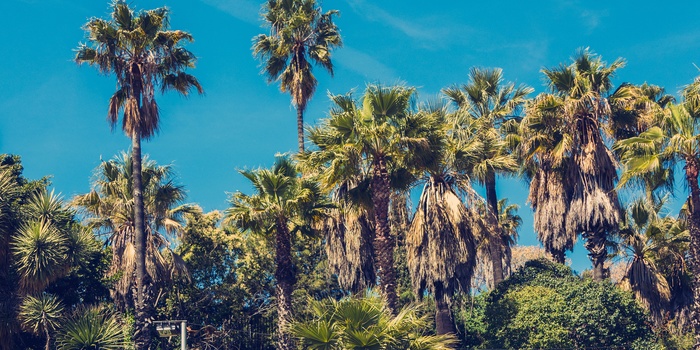 Montjuïc i Barcelona