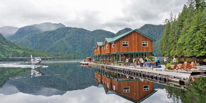 Nu Udlænding kaskade Port Hardy - Wildlife i Great Bear Rainforest | FDM travel