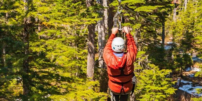 Zipline ved Whistler, British Columbia i Canada