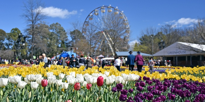 Commonwealth Park i Canberra, Australien