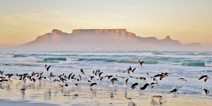 Udsigt til Table Mountain fra strand ved solnedgang, Sydafrika