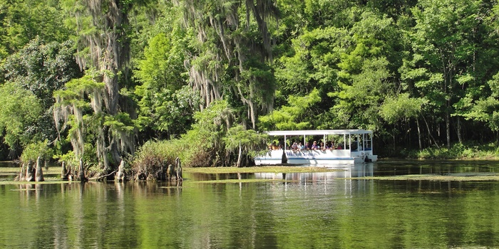 Wakulla Springs - turbåd - Florida i USA