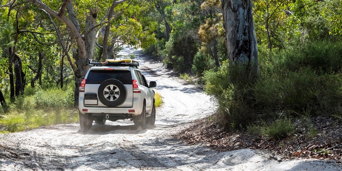 Fraser Island - 4WD full day tour - Queensland i Australien