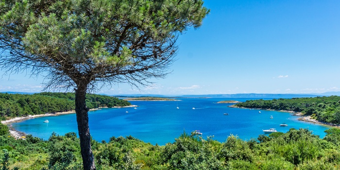 Én af de mange bugter i Kamenjak naturpark, Istrien i Kroatien
