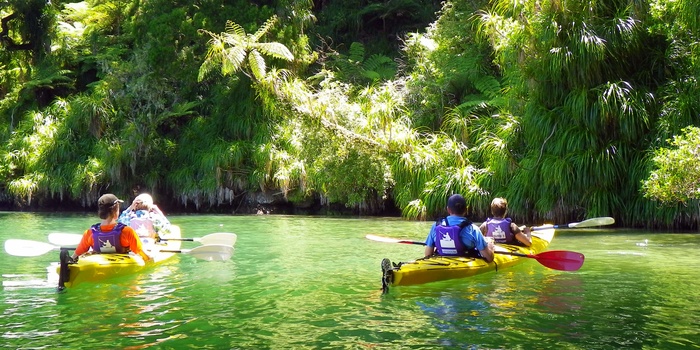 Kayaking Queens Charlotte Sound