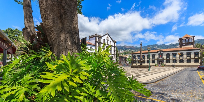 Katedralen Sé i Funchal på Madeira - Portugal