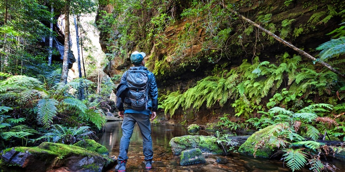 Vandreruten Scenic Walkway i Blue Mountains - New South Wales