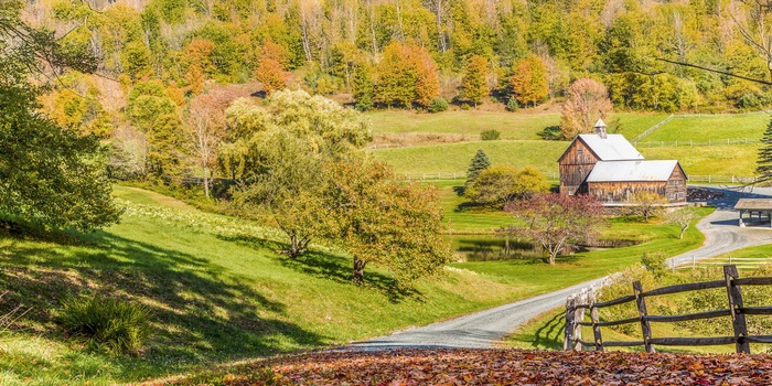 Vej gennem efterårslandskabet i Vermont, USA