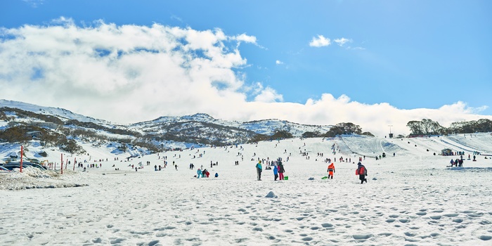 På ski om vinteren i Snowy Mountains, New South Wales i Australien