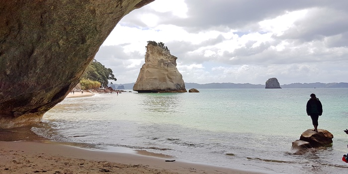 Cathedral Cove på Coromandel-halvøen - Nordøen i New Zealand