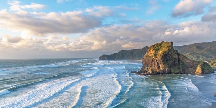 Stranden Piha Beach og Lion Rock i Waitakere Ranges Regional Park - Nordøen i New Zealand