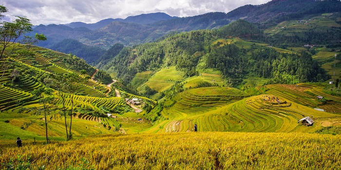 Mai Chau, Vietnam Rismarker og bjerge i Mai Chau - det nordlige Vietnam
