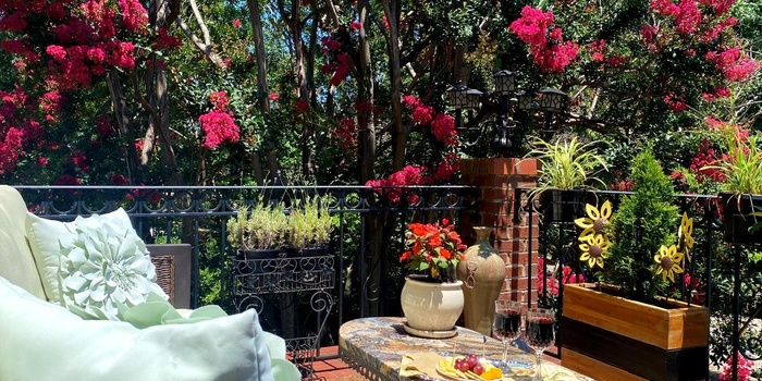 Pettigru Place Bed and Breakfast, Terrasse