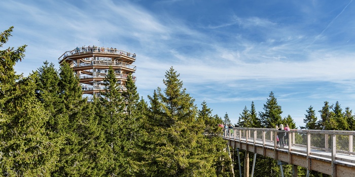 Pohorje Treetop Walk - udsigtstårn og gangbro i træerne i Pohorje-bjergene, Slovenien