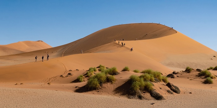 Sand dunes Sossusvlei i Namibia