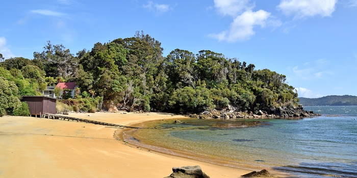 Lille strand på Ulva Island - Stewart Island, New Zealand