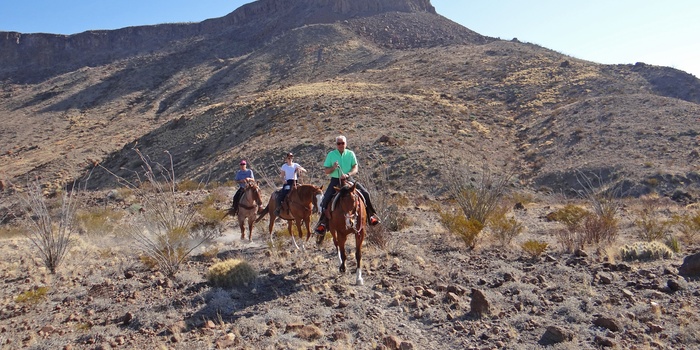 Ridetur fra Lajitas og gennem Big Bend Ranch State Park, Texas i USA