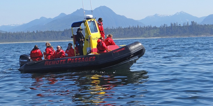 På hvalsafari fra Tofino, Vancouver Island, British Columbia i Canada