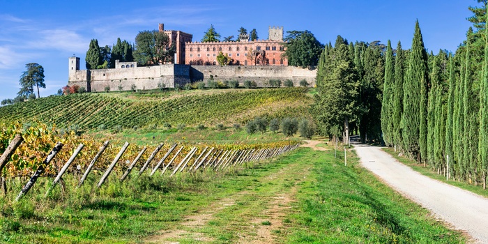 Vinslottet Castello di Brolio omgivet af vinmarker i Toscana