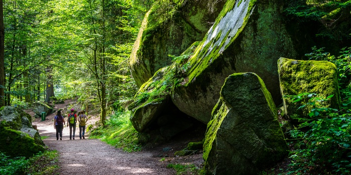 Turgængere i Schwarzwald i Tyskland